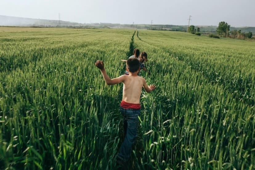Emin Özmen's work sample 1