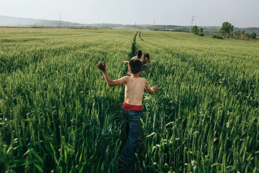 Emin Özmen(艾明·厄兹曼)'s work sample 1