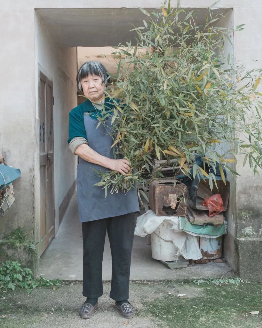 Roban Wang's work sample 9